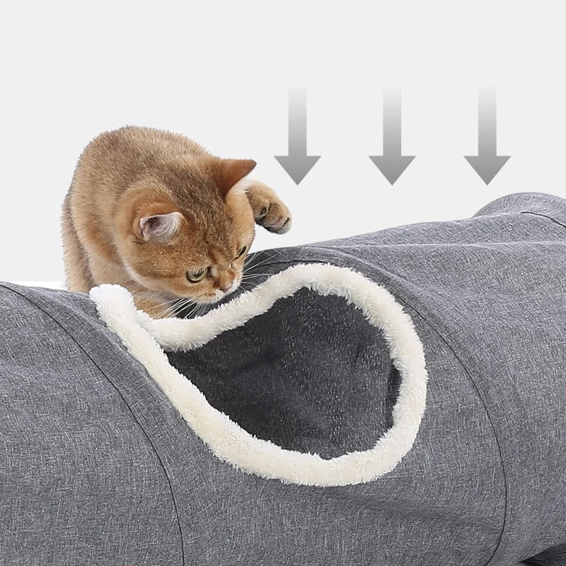 HORIZONT Katzentunnel